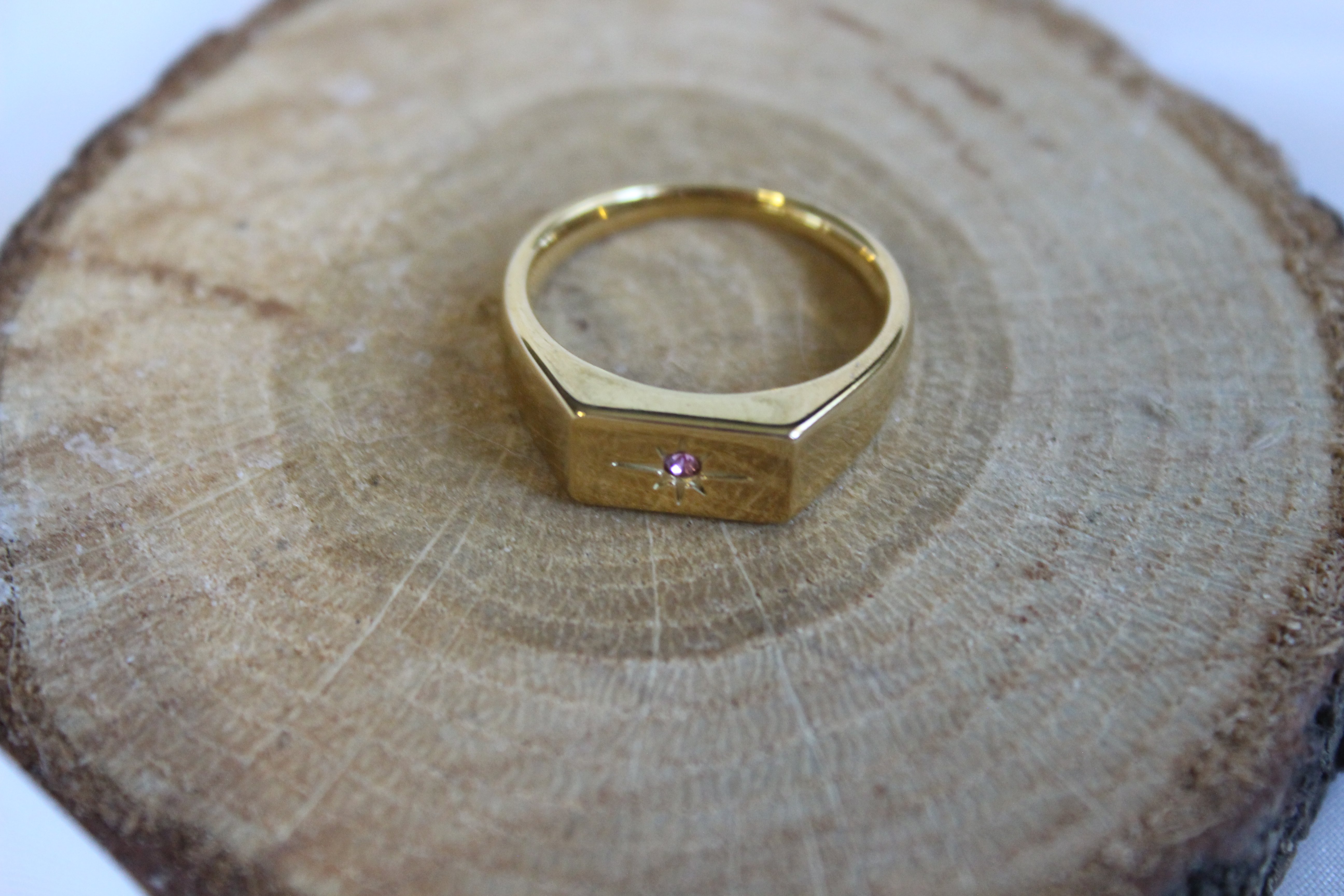 Nova Dot – Paslanmaz Çelik Yüzük