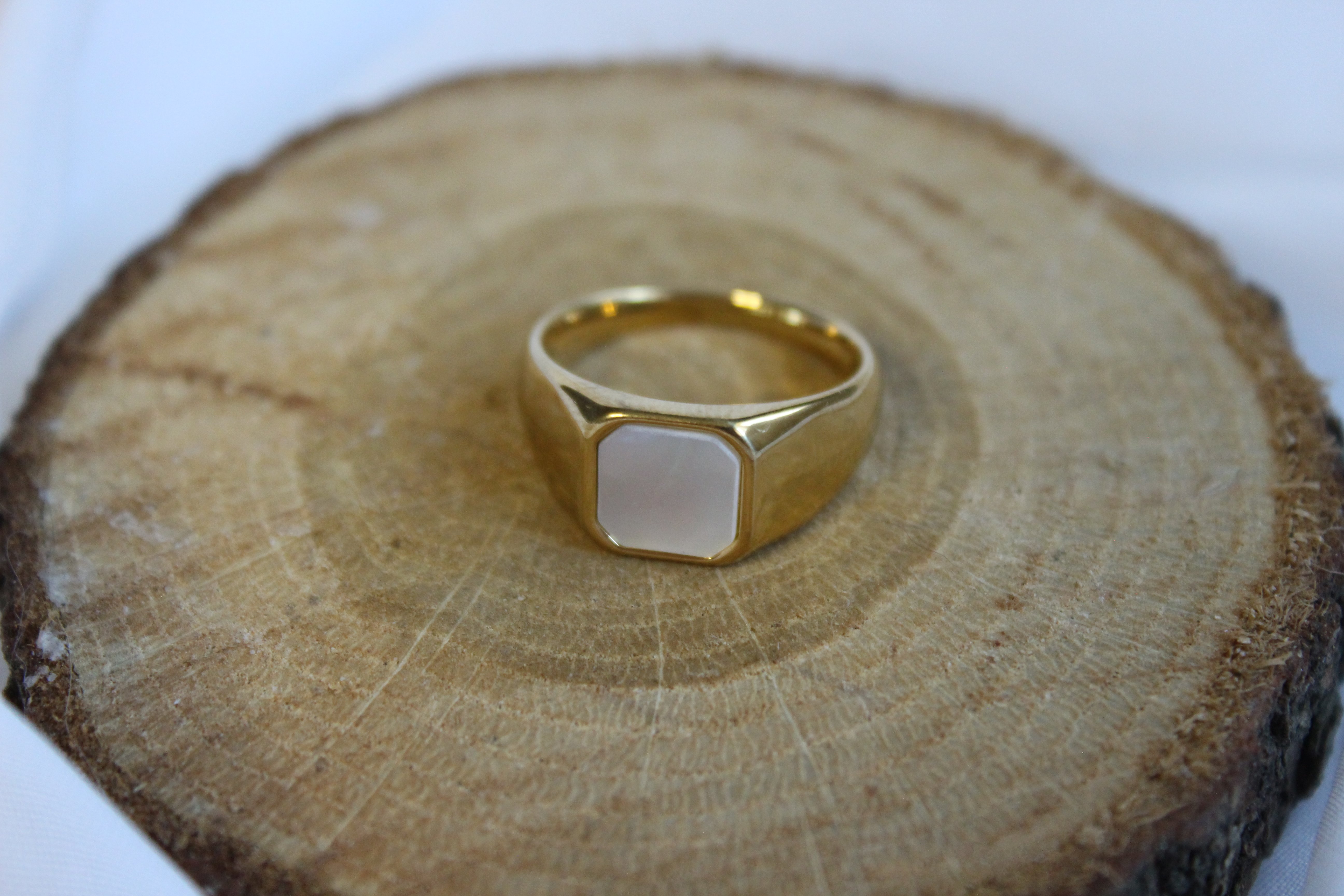 Arctis – Paslanmaz Çelik Yüzük